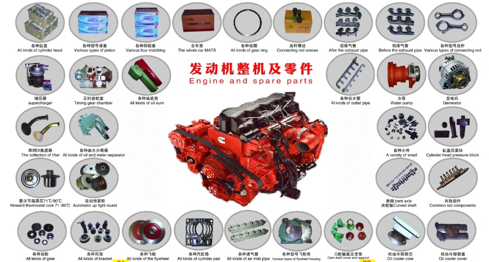 Weichai Brand Engine Spare Parts